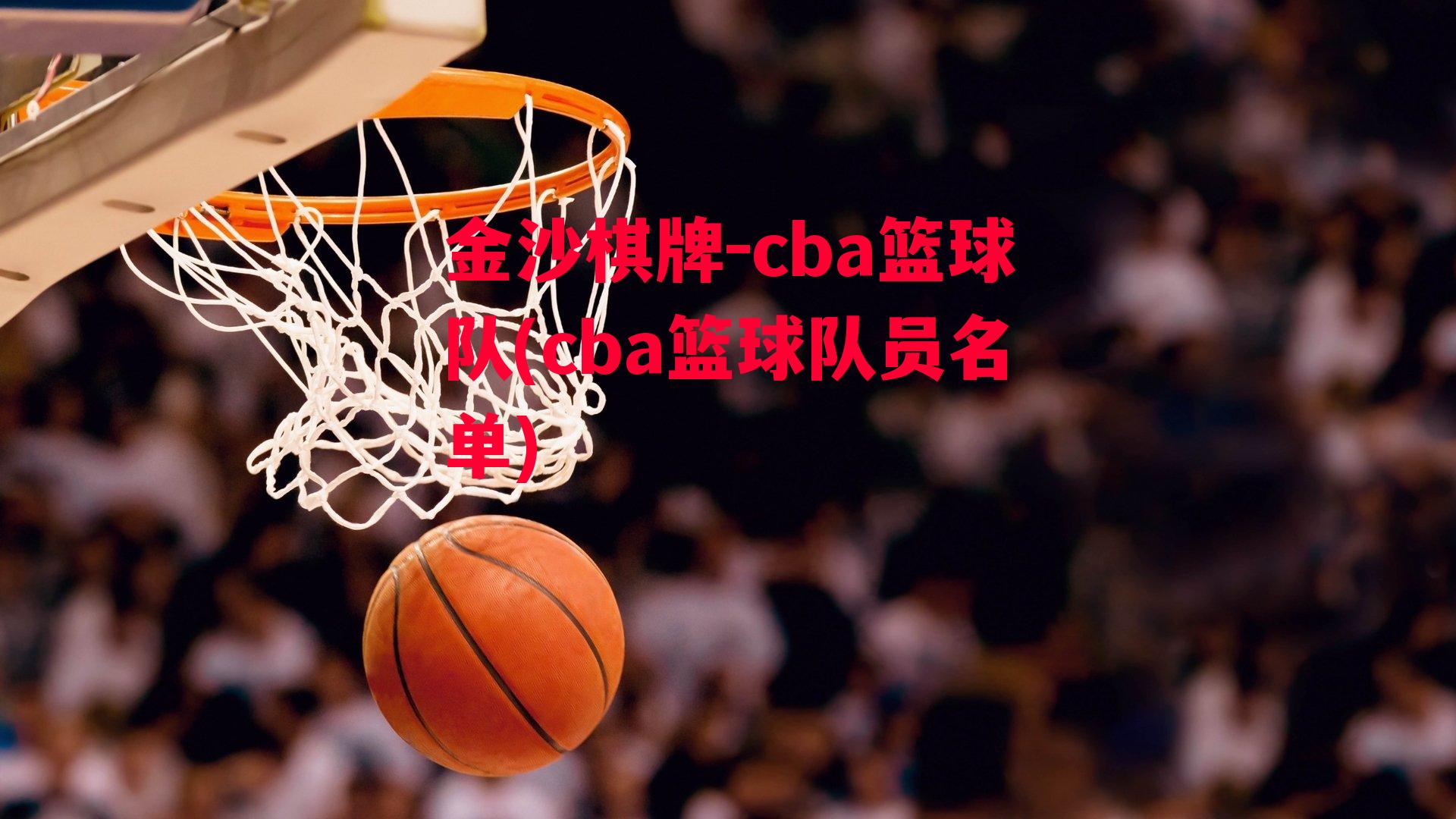 金沙棋牌-cba篮球队(cba篮球队员名单)